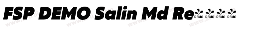 FSP DEMO Salin Md Re字体转换